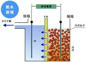 脱水処理の画像