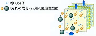 浸漬平膜による固液分解の画像